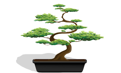 Design Mi Life Benefits